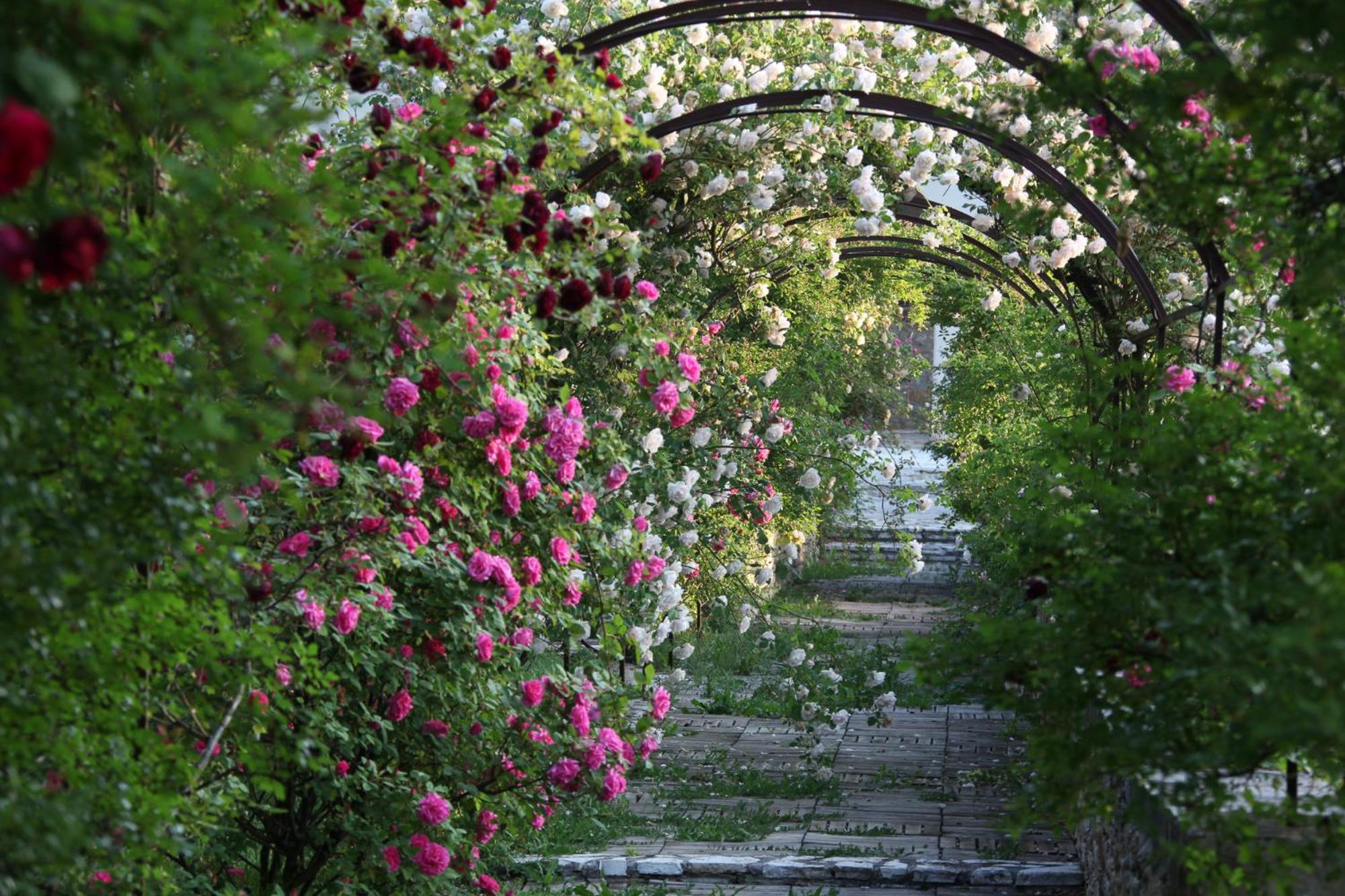 Chateau De Potelieres ห้อง รูปภาพ