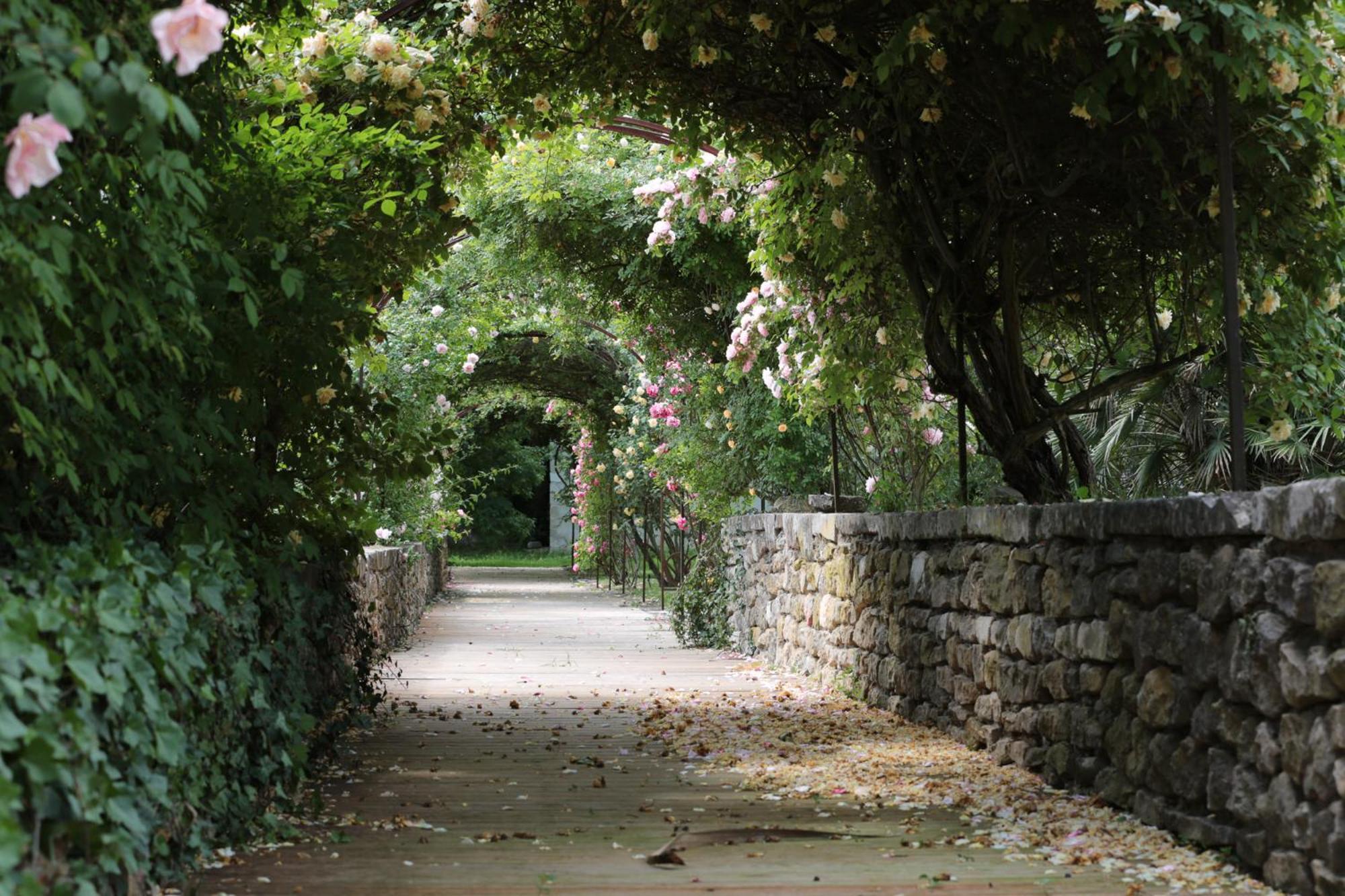 Chateau De Potelieres ภายนอก รูปภาพ
